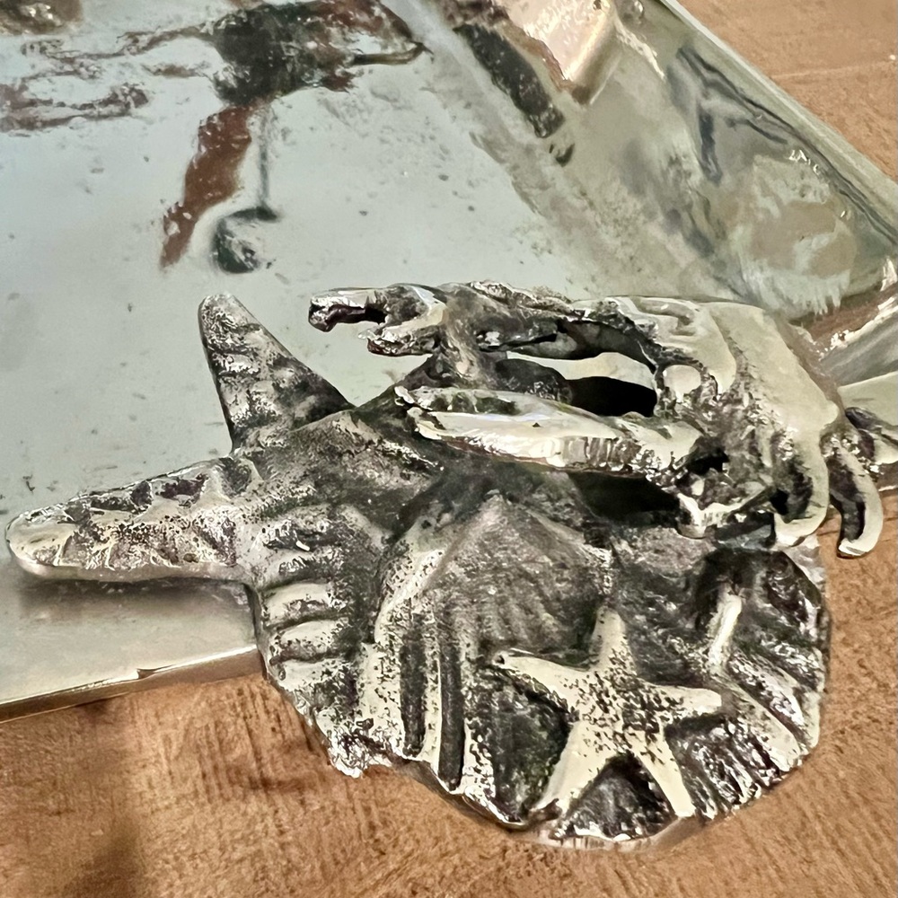 NWOT Silver Coastal ServeWare - Picture 3 of 6